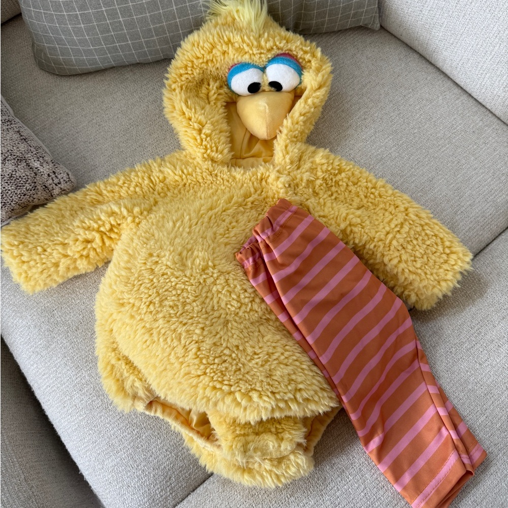 Pottery Barn Kids Big Bird Costume